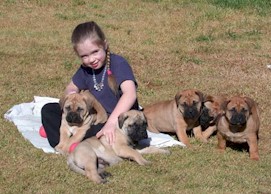 Bullmighty Puppies & Emma